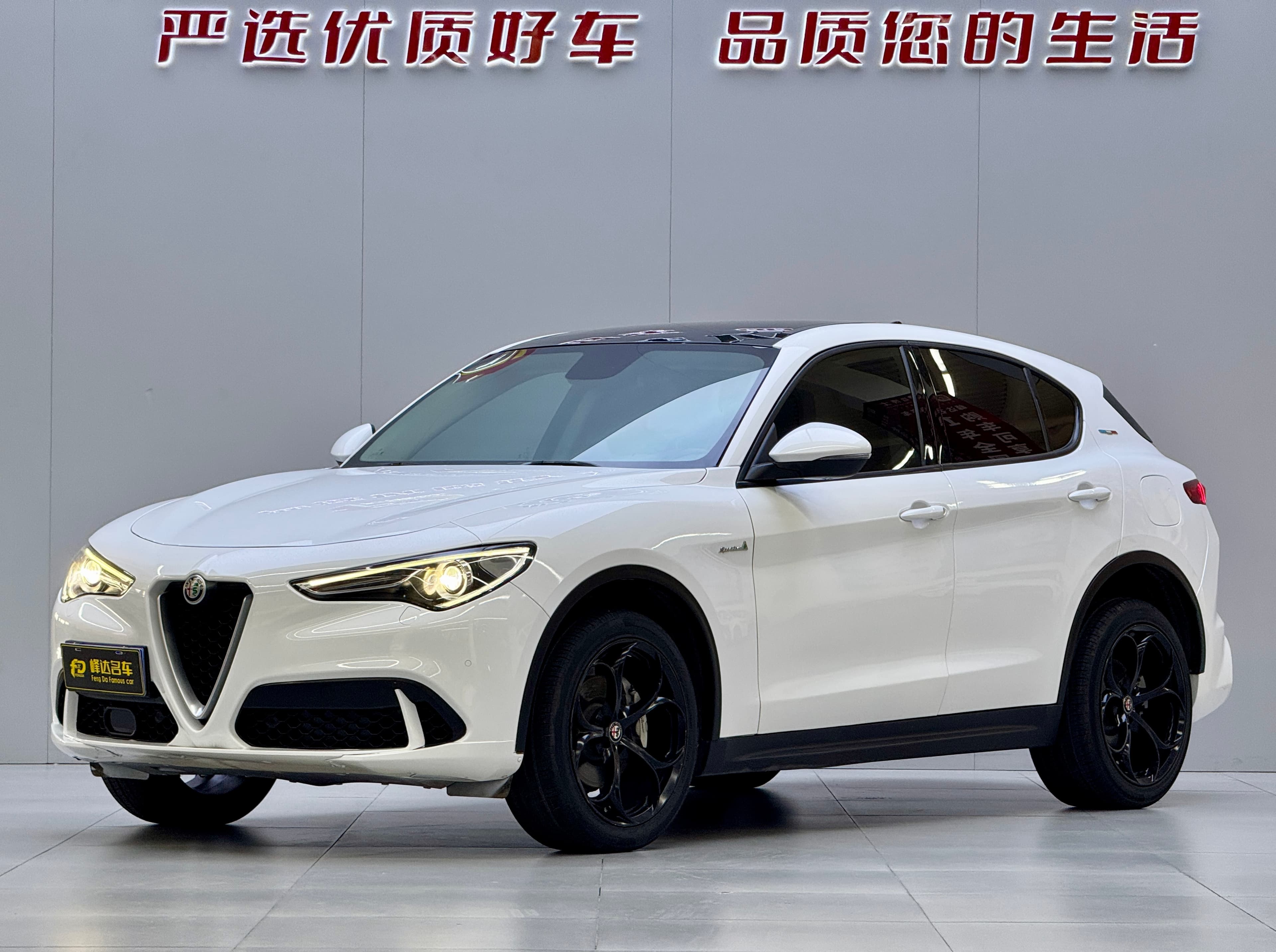 阿尔法·罗密欧 2017 Alfa Romeo Stelvio 2.0T 200HP Elite Edition 2019 — photo 1