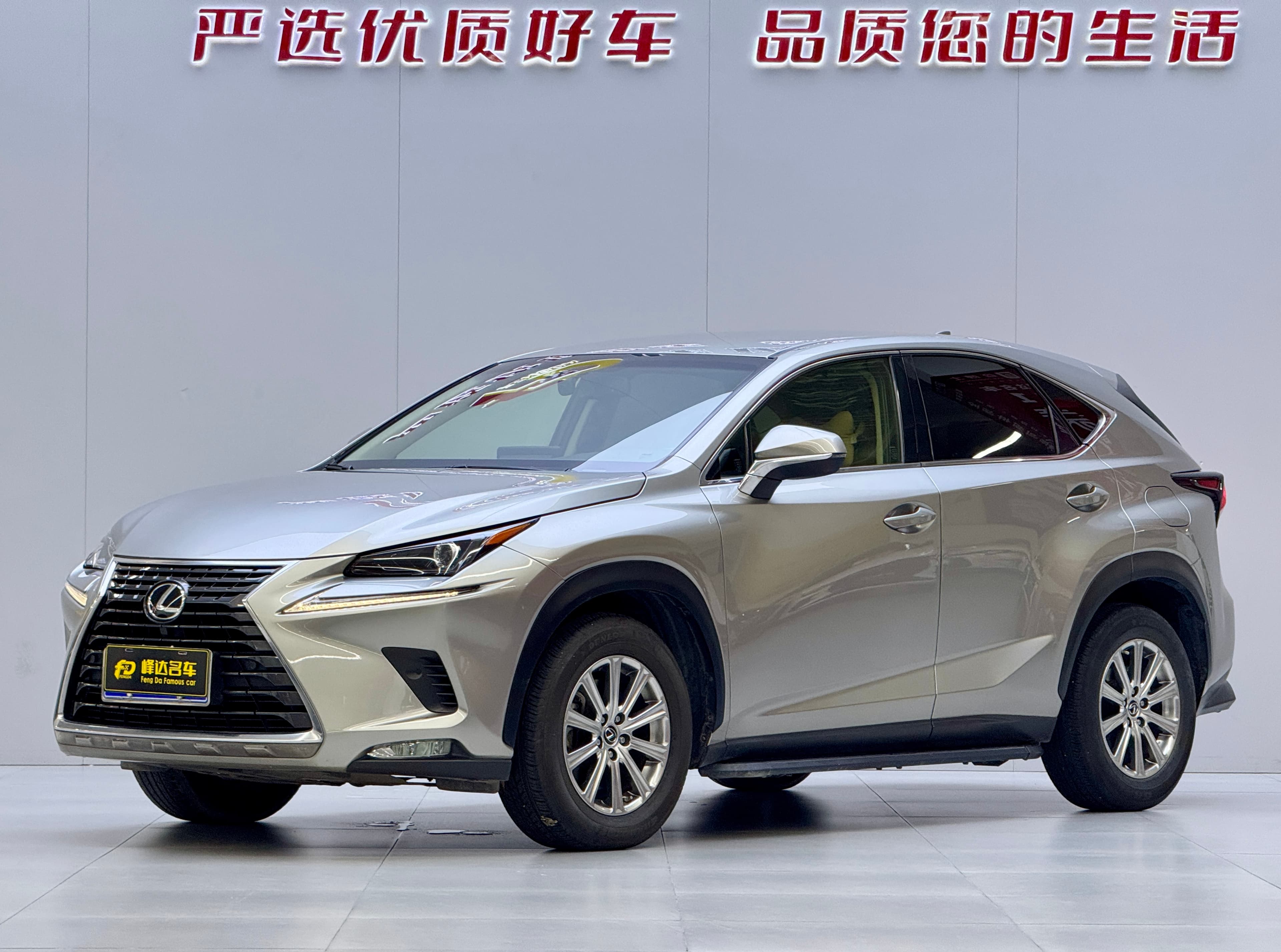 Lexus 2018 Lexus NX 300 2.0T FWD Fengxing Edition 2018 — photo 1