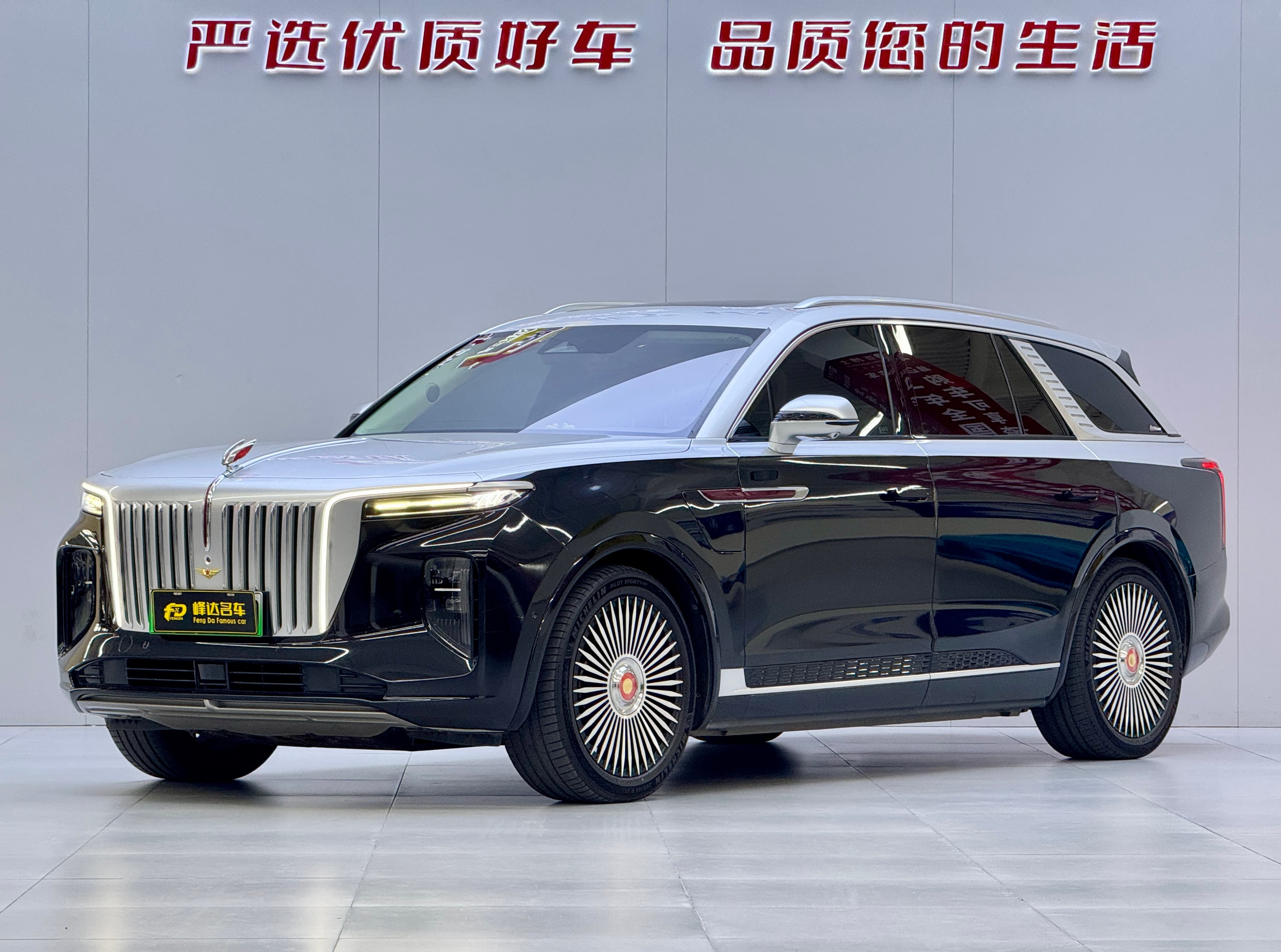 红旗 2021 Hongqi E-HS9 510km Qichang Edition 6-Seat 2021 — photo 1