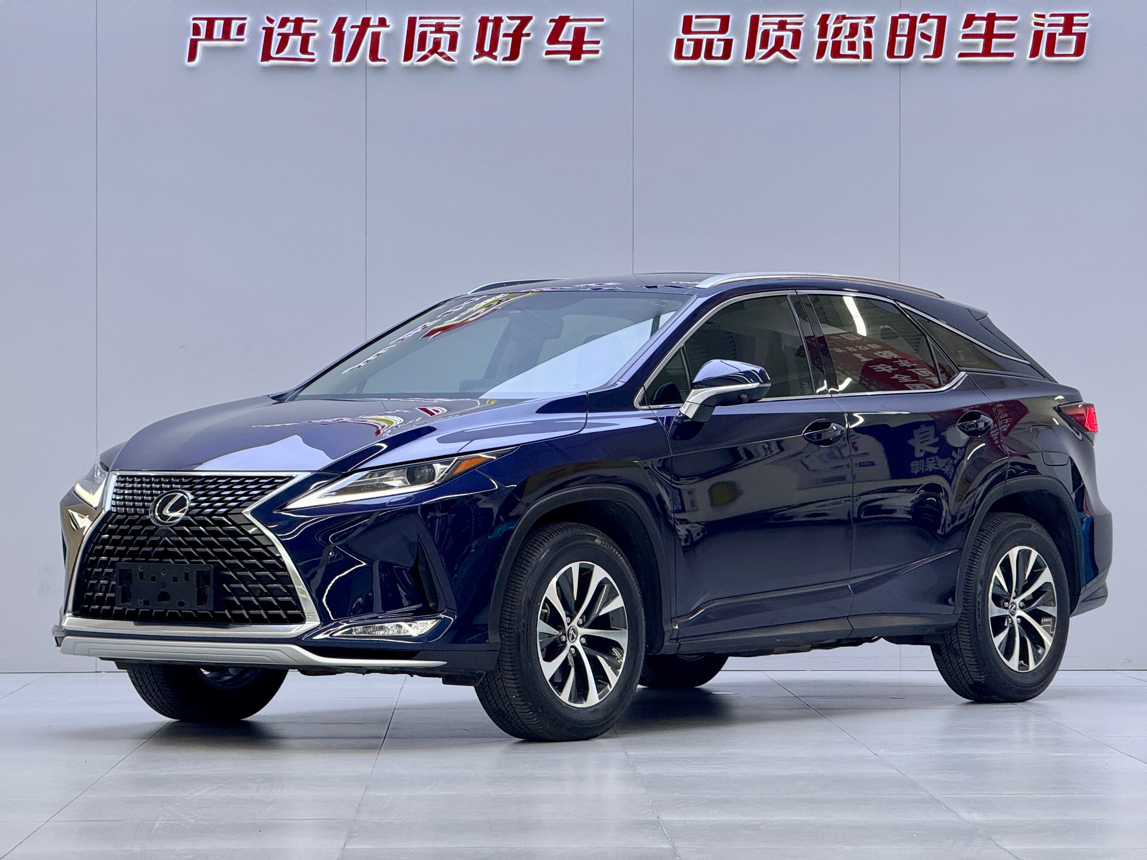 Lexus 2020 Lexus RX 300 2WD Elite Edition (China VI) 2021 — photo 1
