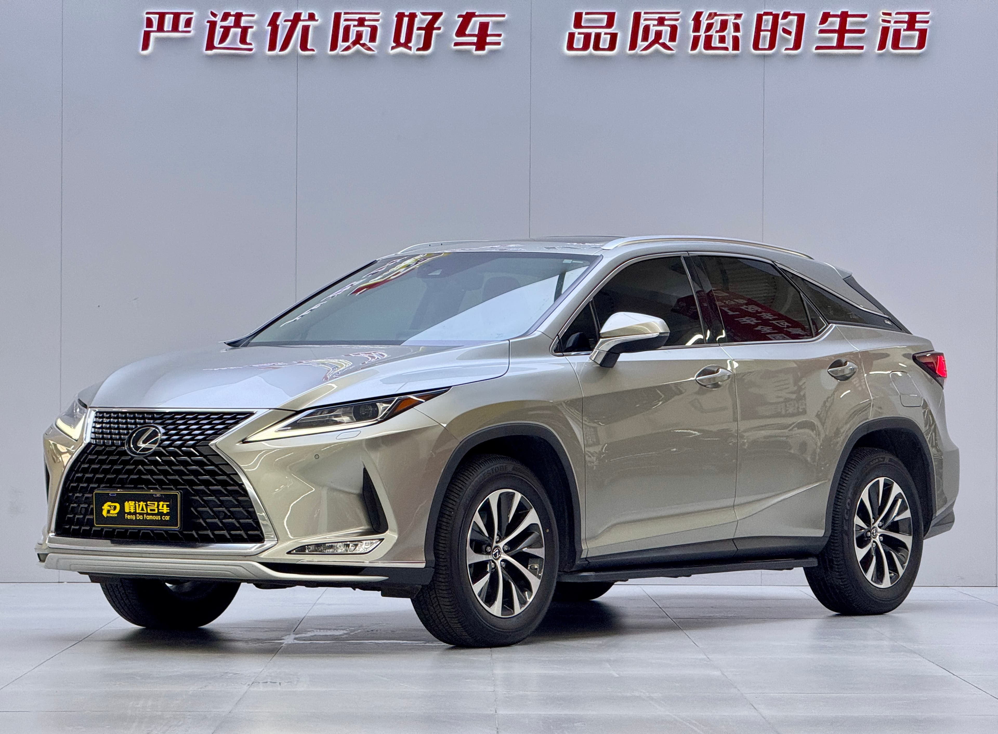 Lexus 2020 Lexus RX 300 2WD Comfort Edition (China VI) 2021 — photo 1